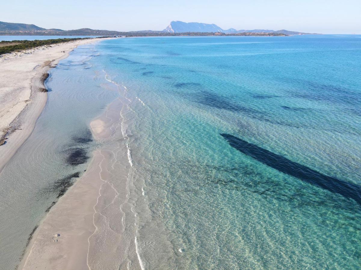 Iss Travel, Villa Fiorita - 800 M From La Cinta Beach San Teodoro  Luaran gambar